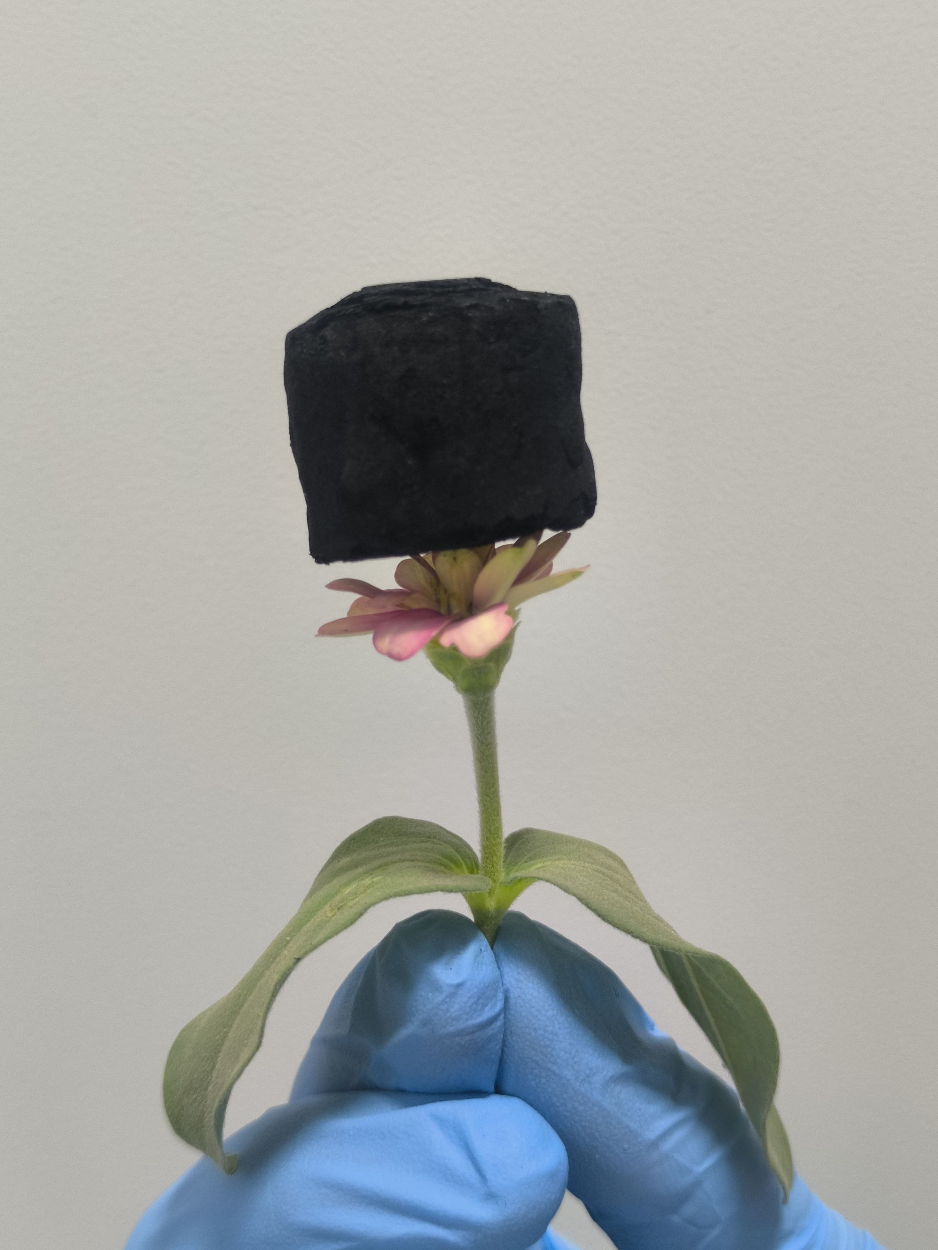 Graphene Aerogel